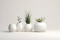 Beautiful Plants In Ceramic Pots