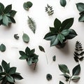 Plants Flatlay Minimalist Background