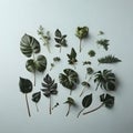 Plants Flatlay