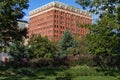 Beautiful Plants and Flowers at Hudson River Park with Tribeca Buildings in the Background in New York City Royalty Free Stock Photo