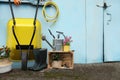 Beautiful plants, gardening tools and accessories near shed outdoors. Space for text Royalty Free Stock Photo