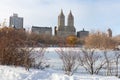 Plants with Red Berries along the Shore of the Frozen Lake with Snow at Central Park in New York City during Winter with the Upper Royalty Free Stock Photo