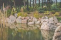 Beautiful plants and stones garden