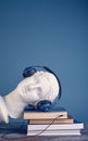 A beautiful plaster Aphrodite with large blue audio headphones leaned against a stack of multi-format books.