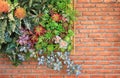 Beautiful plastic flower in frame decoration on brick wall background