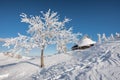 First snow in Velika Planina, Kamnik, Slovenia.
