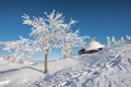 First snow in Velika Planina, Kamnik, Slovenia. Royalty Free Stock Photo