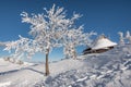 First snow in Velika Planina, Kamnik, Slovenia. Royalty Free Stock Photo