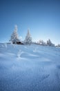 First snow in Velika Planina, Kamnik, Slovenia. Royalty Free Stock Photo