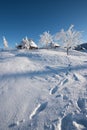 First snow in Velika Planina, Kamnik, Slovenia. Royalty Free Stock Photo