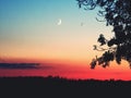 Beautiful play of colors in the sky, with the moon on the horizon and the plane, facing the moon