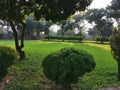 Beautiful play ground in the forest.