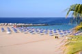 Beautiful Playa de las Vistas in Los Cristianos on Tenerife