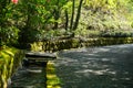 Beautiful pleasant walkway road under green tree and red flower shades with fresh water canal ditch cover with moss and lichen in