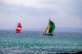 Beautiful pleasure sailboats with colored sails in the distance in the open calm sea