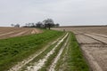 Farm farming early in the spring