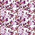 Beautiful plum tree twigs in bloom on white background. Pink flowers and red and purple leaves. Spring seamless floral pattern. Royalty Free Stock Photo
