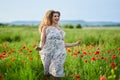 Beautiful plus size woman in a poppy field Royalty Free Stock Photo