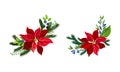Beautiful poinsettia flower set. Christmas decorations with red flower, fir tree branches and blueberries vector Royalty Free Stock Photo