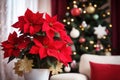 Beautiful poinsettia near Christmas tree on blurred background. Traditional Christmas flower