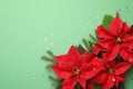 Beautiful poinsettias traditional Christmas flowers with fir branches and confetti on green background, flat lay. Space for text