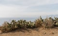 Beautiful Point Dume vista in winter, Malibu, California