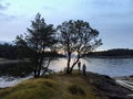 Beautiful point on Tugboat Island with a sprawling arbutus tree