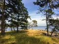 Beautiful point on Tugboat Island with a sprawling arbutus tree