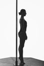 Beautiful pole dancer girl silhouette Royalty Free Stock Photo