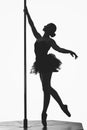 Beautiful pole dancer girl silhouette Royalty Free Stock Photo