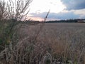 beautiful Polish field in the countryside