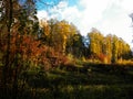 Beautiful Polish golden autumn.