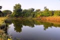 Beautiful pond and blue sky with greenery, morning view