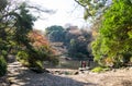 Beautiful pond in garden inside Tokyo University. Elderly like to walk and relax.