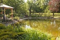 Beautiful pond with goldfishs in a sunny garden with patio, chairs and bench