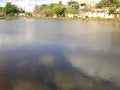 Beautiful pond landscape, trees on the sides and shadows of clouds