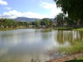 Beautiful pond landscape, trees on the sides and shadows of clouds