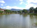 Beautiful pond landscape, trees on the sides and shadows of clouds