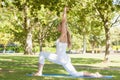 Beautiful ponytailed woman stretching in a yoga pose