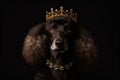 Beautiful Poodle Dog In Gold Crown On Matte Black Background. Generative AI