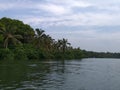 Beautiful Poover backwaters in kerala, India.