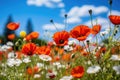 Beautiful poppy field. Generated by artificial intelligence