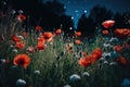 Beautiful poppy field in the night and full moon