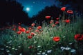 Beautiful poppy field in the night and full moon