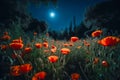 Beautiful poppy field in the night and full moon