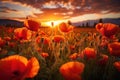 Beautiful poppy field in the sun. Generated by artificial intelligence