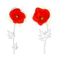 Beautiful poppy flower. Vector set. Royalty Free Stock Photo