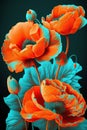 Beautiful poppy flowers on black background. Vector illustration for your design