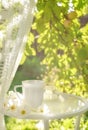 Beautiful porcelain coffee cup and Turkish delight sweets on glass table decorated with white flowers in summer garden