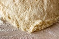 Beautiful porous structure of the approached yeast dough. Royalty Free Stock Photo